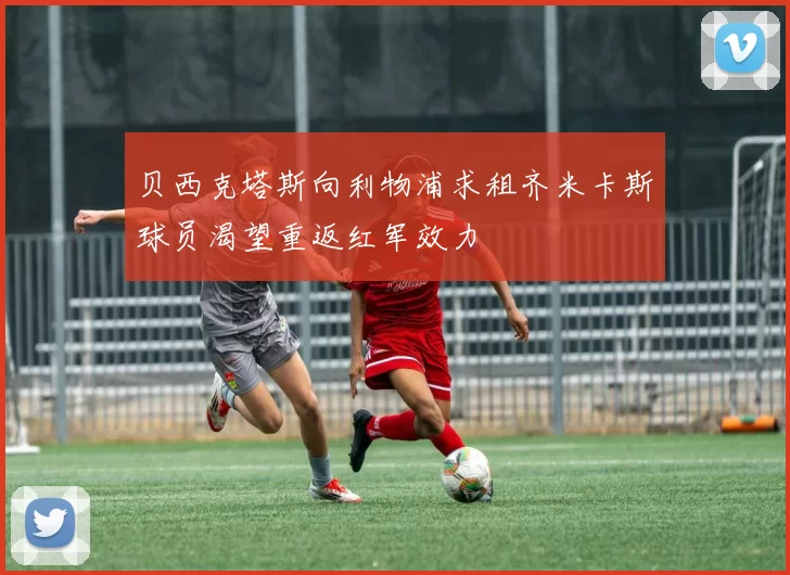 贝西克塔斯向利物浦求租齐米卡斯球员渴望重返红军效力