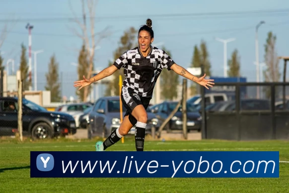 友博体育平台生态图