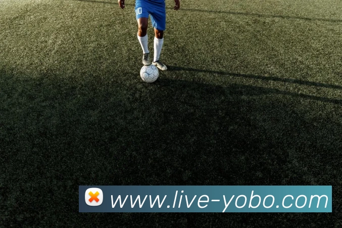 友博体育全站App